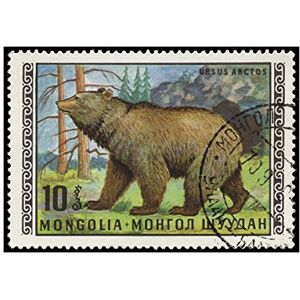 Wee Blue Coo Postage Stamp Mongolia 10 Togrog Russian Brown Bear Wall Art Print Wee Blue Coo Postage Stamp Mongolia 10 Togrog Russian Brown Bear Wall Art Print