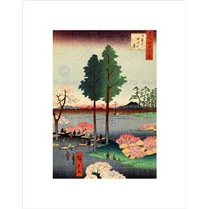 Wee Blue Coo Painting Japanese Woodblock Tall Trees Park New Wall Art Print Wee Blue Coo Painting Japanese Woodblock Tall Trees Park New Wall Art Print