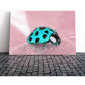 Big Box Art Blue Ladybird Canvas Print Gallery Wrapped 30mm Frame Wall Art 20x14 inches Ready to Hang Modern Animals Picture Living Room Bedroom Lounge Office Big Box Art Blue Ladybird Canvas Print Gallery Wrapped 30mm Frame Wall Art 20x14 inches Ready to Hang Modern Animals Picture Living Room Bedroom Lounge Office
