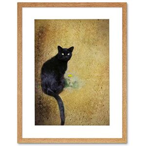Wee Blue Coo Photo Composition Cat Black Flower Yellow Cool Picture Framed Wall Art Print Wee Blue Coo Photo Composition Cat Black Flower Yellow Cool Picture Framed Wall Art Print