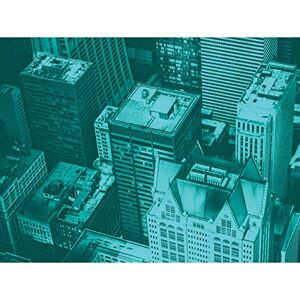 Fine Art Prints Kudinov Aerial View Chicago City Green Großer Kunstdruck Poster Wanddekoration 45,7 x 61 cm Fine Art Prints Kudinov Aerial View Chicago City Green Großer Kunstdruck Poster Wanddekoration 45,7 x 61 cm