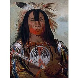 Fine Art Prints Catlin Buffalo Bulls Back Fat Blood Native American Portrait Art Print Canvas Premium Wall Decor Poster Mural Fine Art Prints Catlin Buffalo Bulls Back Fat Blood Native American Portrait Art Print Canvas Premium Wall Decor Poster Mural