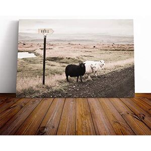 Big Box Art Black and White Sheep Landscape Canvas Print Gallery Wrapped 30mm Frame Wall Art 30x20 inches Ready to Hang Modern Animals Picture Living Room Bedroom Lounge Office Big Box Art Black and White Sheep Landscape Canvas Print Gallery Wrapped 30mm Frame Wall Art 30x20 inches Ready to Hang Modern Animals Picture Living Room Bedroom Lounge Office