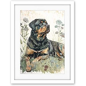 Artery8 Rottweiler Dog Lying in Wildflowers Bright Watercolour Illustration Artwork Framed Wall Art Print 18X24 Inch Artery8 Rottweiler Dog Lying in Wildflowers Bright Watercolour Illustration Artwork Framed Wall Art Print 18X24 Inch