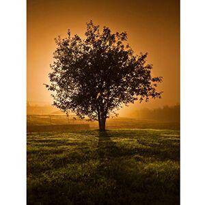 Fine Art Prints Lone Tree Sunset Photo Large Wall Art Print Canvas Premium Poster Fine Art Prints Lone Tree Sunset Photo Large Wall Art Print Canvas Premium Poster