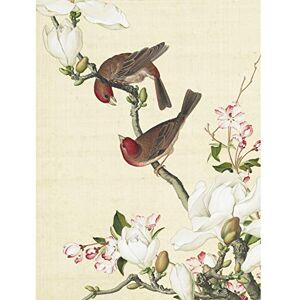 Fine Art Prints Castiglione Wandposter mit Vogelmotiven, Motiv Krabbenbaum, groß Fine Art Prints Castiglione Wandposter mit Vogelmotiven, Motiv Krabbenbaum, groß