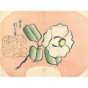 Fine Art Prints White Camellia 1830s Yamada Hogyoku Art Print Canvas Premium Wall Decor Poster Mural Fine Art Prints White Camellia 1830s Yamada Hogyoku Art Print Canvas Premium Wall Decor Poster Mural