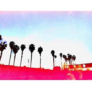 Wee Blue Coo Palm Tree Painted Bright Art Print Poster Wall Decor 12X16 Inch Wee Blue Coo Palm Tree Painted Bright Art Print Poster Wall Decor 12X16 Inch