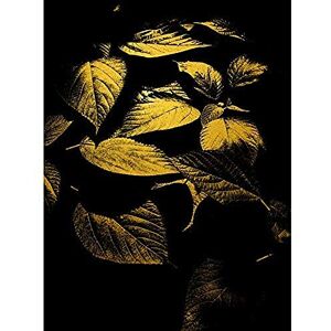 Artery8 Gold Effect Yellow Black Plant Leaves Abstract Flora Unframed Art Print Poster Wall Decor 12x16 inch Artery8 Gold Effect Yellow Black Plant Leaves Abstract Flora Unframed Art Print Poster Wall Decor 12x16 inch