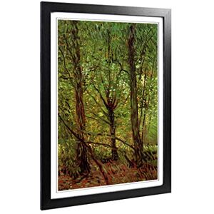 Big Box Art Framed Print of Vincent Van Gogh Trees and Undergrowth Design Wall Art Picture Home Decor for Kitchen, Living Room, Bedroom, Hallway, Black, A2 / 24.5x18 Inch / 62x45cm Big Box Art Framed Print of Vincent Van Gogh Trees and Undergrowth Design Wall Art Picture Home Decor for Kitchen, Living Room, Bedroom, Hallway, Black, A2 / 24.5x18 Inch / 62x45cm
