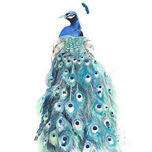 Wee Blue Coo Bird Peacock Watercolour Art Print Poster Wall Decor 12X16 Inch Wee Blue Coo Bird Peacock Watercolour Art Print Poster Wall Decor 12X16 Inch