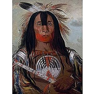 Fine Art Prints Catlin Buffalo Bulls Back Fat Blood Ureinwohner Amerikanisches Portrait, ungerahmt Wandkunstdruck, Poster Heimdekoration Premium Fine Art Prints Catlin Buffalo Bulls Back Fat Blood Ureinwohner Amerikanisches Portrait, ungerahmt Wandkunstdruck, Poster Heimdekoration Premium