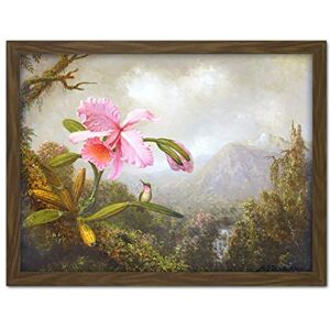 Fine Art Prints Heade Orchid Hummingbird Mountain Waterfall Painting Large Framed Art Print Poster Wall Decor 18x24 in Fine Art Prints Heade Orchid Hummingbird Mountain Waterfall Painting Large Framed Art Print Poster Wall Decor 18x24 in