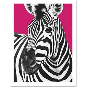 Wee Blue Coo Close up Beasties Zebra Large Framed Art Print Wall Poster 18x24 inch Wee Blue Coo Close up Beasties Zebra Large Framed Art Print Wall Poster 18x24 inch
