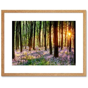 Wee Blue Coo Bluebell Wood Sunrise Tree Art Framed Wall Art Print Wee Blue Coo Bluebell Wood Sunrise Tree Art Framed Wall Art Print