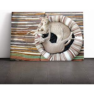 Big Box Art - Siamese Cat - 30x20 Inch - Multi-Colour - Canvas Print Big Box Art - Siamese Cat - 30x20 Inch - Multi-Colour - Canvas Print