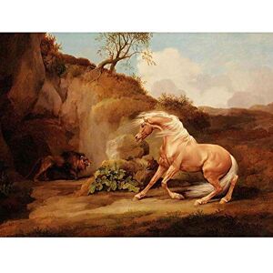 Wee Blue Coo Painting Animal George Stubbs Lion Startling Horse Art Print Poster Wall Decor 12X16 Inch Wee Blue Coo Painting Animal George Stubbs Lion Startling Horse Art Print Poster Wall Decor 12X16 Inch