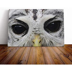 Big Box Art Owl Eyes Canvas Print Gallery Wrapped 30mm Frame Wall Art 24x16 inches Ready to Hang Modern Animals Picture Living Room Bedroom Lounge Office Big Box Art Owl Eyes Canvas Print Gallery Wrapped 30mm Frame Wall Art 24x16 inches Ready to Hang Modern Animals Picture Living Room Bedroom Lounge Office