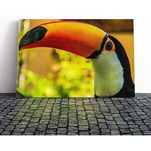 Big Box Art Toucan Bird (2) Canvas Print Gallery Wrapped 30mm Frame Wall Art 20x14 inches Ready to Hang Modern Animals Picture Living Room Bedroom Lounge Office Big Box Art Toucan Bird (2) Canvas Print Gallery Wrapped 30mm Frame Wall Art 20x14 inches Ready to Hang Modern Animals Picture Living Room Bedroom Lounge Office