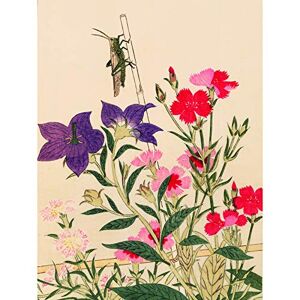 Artery8 Kitagawa Utamaro Rice Locust Flowers Japanese Painting Premium Wall Art Canvas Print 18X24 Inch Artery8 Kitagawa Utamaro Rice Locust Flowers Japanese Painting Premium Wall Art Canvas Print 18X24 Inch