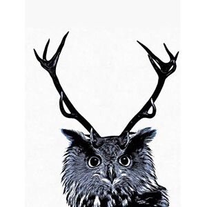 Wee Blue Coo Painting Owl Deer Antlers Weird Bizarre Art Print Poster Wall Decor 12X16 Inch Wee Blue Coo Painting Owl Deer Antlers Weird Bizarre Art Print Poster Wall Decor 12X16 Inch