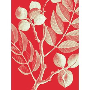 Wee Blue Coo Modern Bold Biodiversity Red Plant Unframed Wall Art Print Poster Home Decor Premium Wee Blue Coo Modern Bold Biodiversity Red Plant Unframed Wall Art Print Poster Home Decor Premium