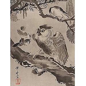 Fine Art Prints Kyosai Owl Mocked Small Birds Japan Painting Unframed Wall Art Print Poster Home Decor Premium Fine Art Prints Kyosai Owl Mocked Small Birds Japan Painting Unframed Wall Art Print Poster Home Decor Premium