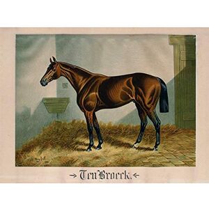 Artery8 After Henry Stull Ten Broeck 1881 Unframed Wall Art Print Poster Home Decor Premium Artery8 After Henry Stull Ten Broeck 1881 Unframed Wall Art Print Poster Home Decor Premium