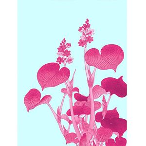 Wee Blue Coo Ohara Koson Blooming Hosta Large Wall Art Print Canvas Premium Poster Wee Blue Coo Ohara Koson Blooming Hosta Large Wall Art Print Canvas Premium Poster