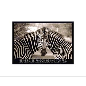 Wee Blue Coo Be Weird Random Zebra Quote Motivation Typography Wall Art Print Wee Blue Coo Be Weird Random Zebra Quote Motivation Typography Wall Art Print