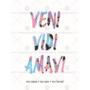 Wee Blue Coo Quote Typograph Text Veni Vidi Amavi Latin Love Wall Art Print Wee Blue Coo Quote Typograph Text Veni Vidi Amavi Latin Love Wall Art Print