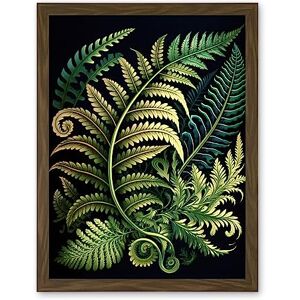Artery8 Ernst Haeckel Style Fern Fronds Leaf Illustration Artwork Framed Wall Art Print 18X24 Inch Artery8 Ernst Haeckel Style Fern Fronds Leaf Illustration Artwork Framed Wall Art Print 18X24 Inch