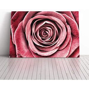 Big Box Art Canvas Print Wall Art Flower Pink Rose (3) Mounted and Stretched Box Frame Picture Home Decor for Kitchen, Living, Dining Room, Bedroom, Hallway, Multi-Colour, 30x20 Inch Big Box Art Canvas Print Wall Art Flower Pink Rose (3) Mounted and Stretched Box Frame Picture Home Decor for Kitchen, Living, Dining Room, Bedroom, Hallway, Multi-Colour, 30x20 Inch