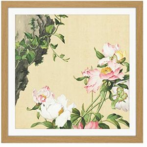 Fine Art Prints Castiglione Paeonia Flower Plant Painting Square Wooden Framed Wall Art Print Picture 16X16 Inch Fine Art Prints Castiglione Paeonia Flower Plant Painting Square Wooden Framed Wall Art Print Picture 16X16 Inch