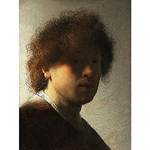 Fine Art Prints Rembrandt Zelfportret Op Jeugdige Leeftijd Art Print Canvas Premium Wall Decor Poster Mural Fine Art Prints Rembrandt Zelfportret Op Jeugdige Leeftijd Art Print Canvas Premium Wall Decor Poster Mural