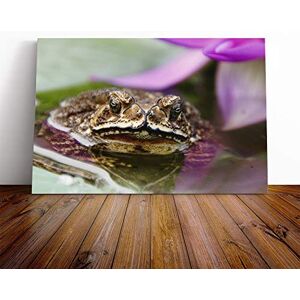 Big Box Art Water Lily Toad Vol.2 Canvas Print Gallery Wrapped 30mm Frame Wall Art 30x20 inches Ready to Hang Modern Animals Picture Living Room Bedroom Lounge Office Big Box Art Water Lily Toad Vol.2 Canvas Print Gallery Wrapped 30mm Frame Wall Art 30x20 inches Ready to Hang Modern Animals Picture Living Room Bedroom Lounge Office