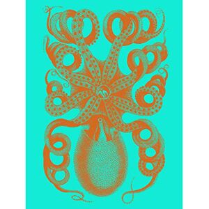 Fine Art Prints Octopus Orange Blue Illustration Large Wall Art Print Canvas Premium Poster Fine Art Prints Octopus Orange Blue Illustration Large Wall Art Print Canvas Premium Poster