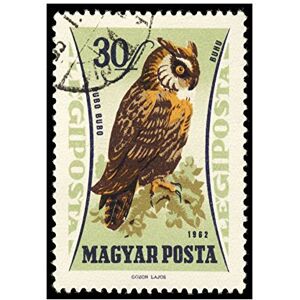Wee Blue Coo Postage Stamp Hungary 30 Forint Eurasian Eagle Owl Wall Art Print Wee Blue Coo Postage Stamp Hungary 30 Forint Eurasian Eagle Owl Wall Art Print