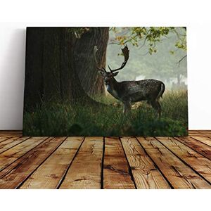 Big Box Art Stag in Woodland Landscape Canvas Print Gallery Wrapped 30mm Frame Wall Art 20x14 inches Ready to Hang Modern Animals Picture Living Room Bedroom Lounge Office Big Box Art Stag in Woodland Landscape Canvas Print Gallery Wrapped 30mm Frame Wall Art 20x14 inches Ready to Hang Modern Animals Picture Living Room Bedroom Lounge Office