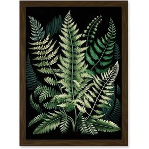 Artery8 Different Fern Fronds Detailed Leaves Illustration Artwork Framed Wall Art Print A4 Artery8 Different Fern Fronds Detailed Leaves Illustration Artwork Framed Wall Art Print A4