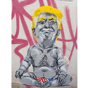 Wee Blue Coo Baby Trump Graffiti Art Print Canvas Premium Wall Decor Poster Wee Blue Coo Baby Trump Graffiti Art Print Canvas Premium Wall Decor Poster