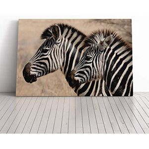Big Box Art Two Zebras Facing Left Canvas Print Gallery Wrapped 30mm Frame Wall Art 20x14 inches Ready to Hang Modern Animal Picture Living Room Bedroom Lounge Office Big Box Art Two Zebras Facing Left Canvas Print Gallery Wrapped 30mm Frame Wall Art 20x14 inches Ready to Hang Modern Animal Picture Living Room Bedroom Lounge Office