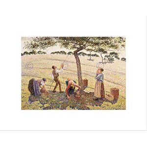 Wee Blue Coo Painting Landscape Rural Pissarro Eragny Apple Harvest Wall Art Print Wee Blue Coo Painting Landscape Rural Pissarro Eragny Apple Harvest Wall Art Print
