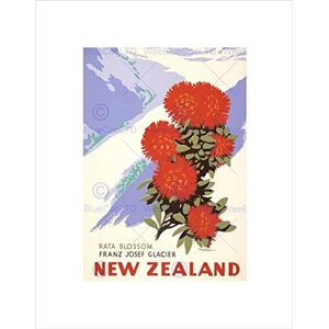 Wee Blue Coo TRAVEL NEW ZEALAND RATA BLOSSOM FRANZ JOSEF GLACIER FLOWER ART PRINT B12X12365 Wee Blue Coo TRAVEL NEW ZEALAND RATA BLOSSOM FRANZ JOSEF GLACIER FLOWER ART PRINT B12X12365