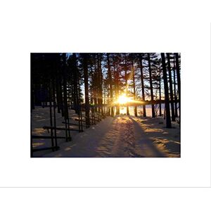 Wee Blue Coo SUNSHINE WINTER SNOW FOREST TREE BLACK FRAME FRAMED ART PRINT PICTURE B12X9249 Wee Blue Coo SUNSHINE WINTER SNOW FOREST TREE BLACK FRAME FRAMED ART PRINT PICTURE B12X9249