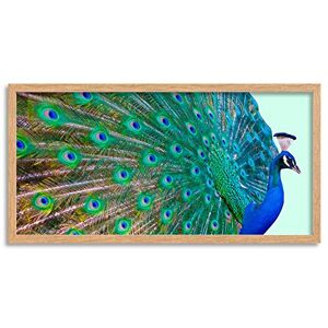 Wee Blue Coo Peacock Bird Feather Plume Long Panel Framed Wall Art Print Wee Blue Coo Peacock Bird Feather Plume Long Panel Framed Wall Art Print