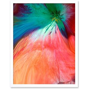 Wee Blue Coo Poppy Petal Colour Tint Art Print Framed Poster Wall Decor 12x16 inch Wee Blue Coo Poppy Petal Colour Tint Art Print Framed Poster Wall Decor 12x16 inch
