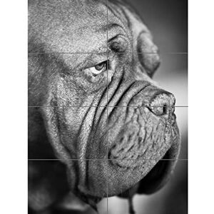 Artery8 Dog French Mastiff Head Muzzle Black White Photo XL Giant Panel Poster (8 Sections) Artery8 Dog French Mastiff Head Muzzle Black White Photo XL Giant Panel Poster (8 Sections)
