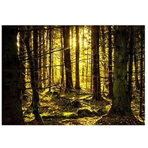 Wee Blue Coo Photo Stylised Landscape Forest Trees Sunbeam Bright Wall Art Print Wee Blue Coo Photo Stylised Landscape Forest Trees Sunbeam Bright Wall Art Print