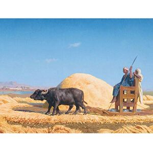 Fine Art Prints Gerome The Grain Threshers Bison Ägypten Gemälde großer Kunstdruck auf Leinwand Premium Wandbild Fine Art Prints Gerome The Grain Threshers Bison Ägypten Gemälde großer Kunstdruck auf Leinwand Premium Wandbild